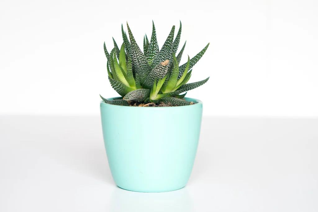 Kit Residencial Agua Segura